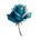 The Blue Rose - Home